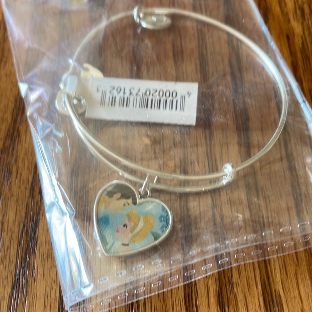 Alex & Ani theme park bangle